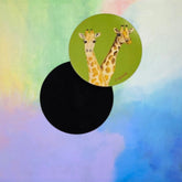 Elliott & Georgina bundle